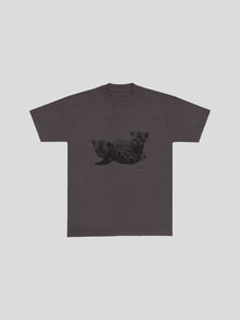 Dirt — color swatch